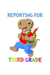 Reporting For 3rd Grade