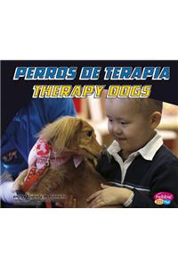 Perros de terapia/Therapy Dogs