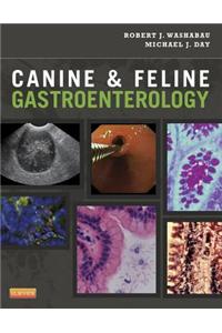 Canine and Feline Gastroenterology