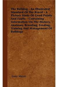 Bulldog - An Illustrated Standard Of The Breed - A Picture Study Of Good Points And Faults - Containing Information On The History, Anatomy, Breeding, Feeding, Training And Management Of Bulldogs