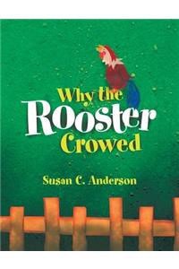 Why the Rooster Crowed