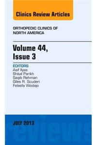 Volume 44, Issue 3, an Issue of Orthopedic Clinics