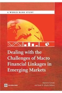 Dealing with the Challenges of Macro Financial Linkages in Emerging Markets