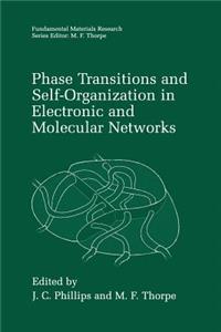 Phase Transitions and Self-Organization in Electronic and Molecular Networks