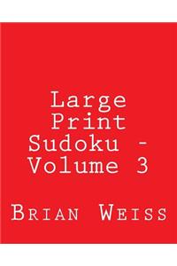 Large Print Sudoku - Volume 3: Fun, Large Grid Sudoku Puzzles