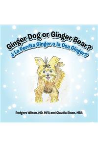 Ginger Dog or Ginger Bear?
