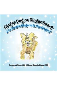 Ginger Dog or Ginger Bear?