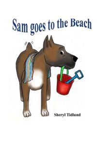 Sam goes to the Beach