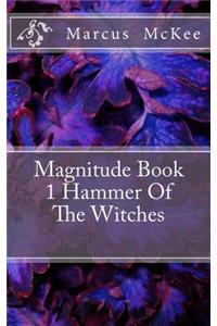 Magnitude Book 1 Hammer Of The Witches