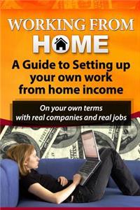 Working from Home: A Guide to Setting Up Your Own Work from Home Income: On Your Own Terms with Real Companies and Real Jobs