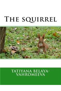 The Squirrel