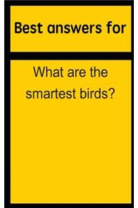 Best Answers for What Are the Smartest Birds?