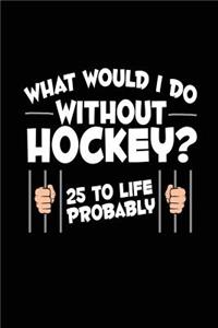 What Would I Do Without Hockey? 25 To Life Probably