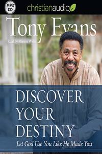 Discover Your Destiny