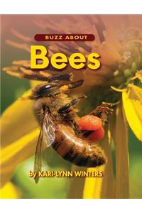 Buzz about Bees