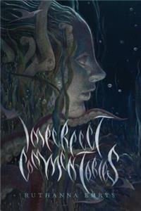 Imperfect Commentaries