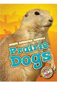 Prairie Dogs