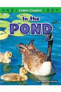 In the Pond