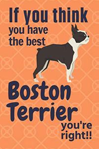 If you think you have the best Boston Terrier you're right!!