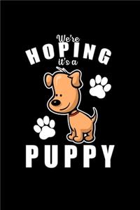 We're hoping it's a puppy