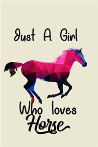 Just a Girl who loves Horse