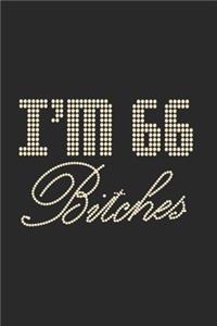 I'm 66 Bitches Notebook Birthday Celebration Gift Lets Party Bitches 66 Birth Anniversary