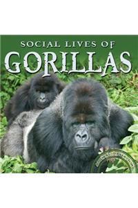 Social Lives of Gorillas