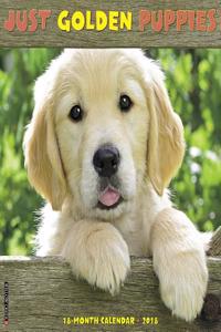 Just Golden Puppies 2018 Wall Calendar (Dog Breed Calendar)