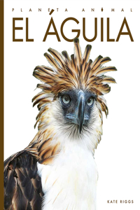 El Águila