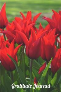 Gratitude Journal