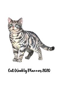 Cat Weekly Planner 2020: Water cat stuff monthly weekly planner with 12 months Jan 2020 - Dec 2020 for Schedule Organizer, To Do List, Academic Schedule, Appointment Calenda