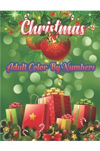 Christmas Adult Color By Numbers
