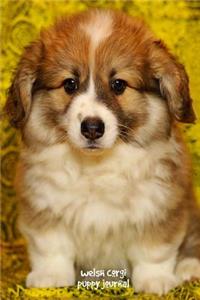 Welsh Corgi Puppy Journal