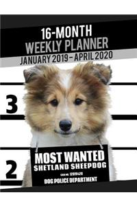 2019-2020 Weekly Planner - Most Wanted Shetland Sheepdog (Sheltie)