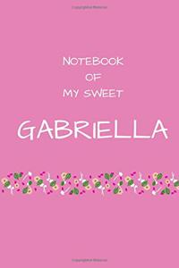 Notebook of my sweet Gabriella