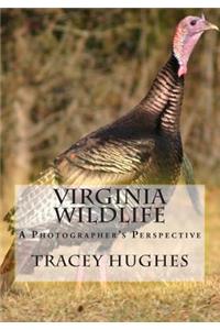 Virginia Wildlife