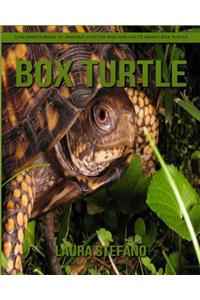 Box Turtle