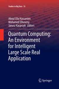 Quantum Computing: An Environment for Intelligent Large Scale Real Application