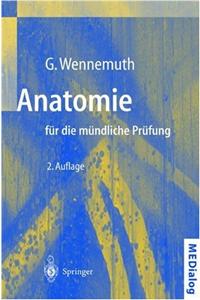 Anatomie Fa1/4r Die Ma1/4ndliche Pra1/4fung