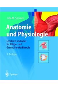 Anatomie Und Physiologie