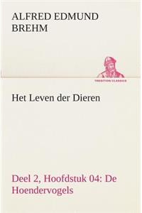 Het Leven der Dieren Deel 2, Hoofdstuk 04