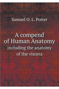 A compend of Human Anatomy including the anatomy of the viscera