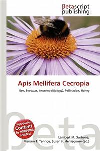 APIs Mellifera Cecropia