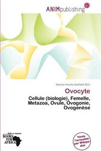 Ovocyte