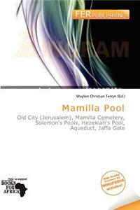 Mamilla Pool