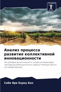 Анализ процесса развития коллективной ин