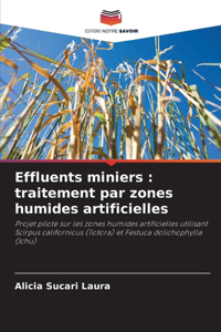 Effluents miniers