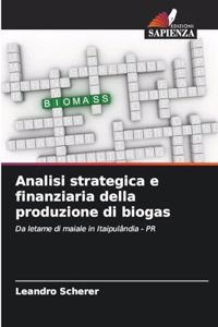 Analisi strategica e finanziaria della produzione di biogas