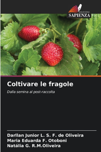 Coltivare le fragole