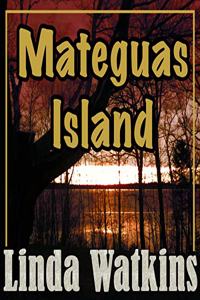 Mateguas Island